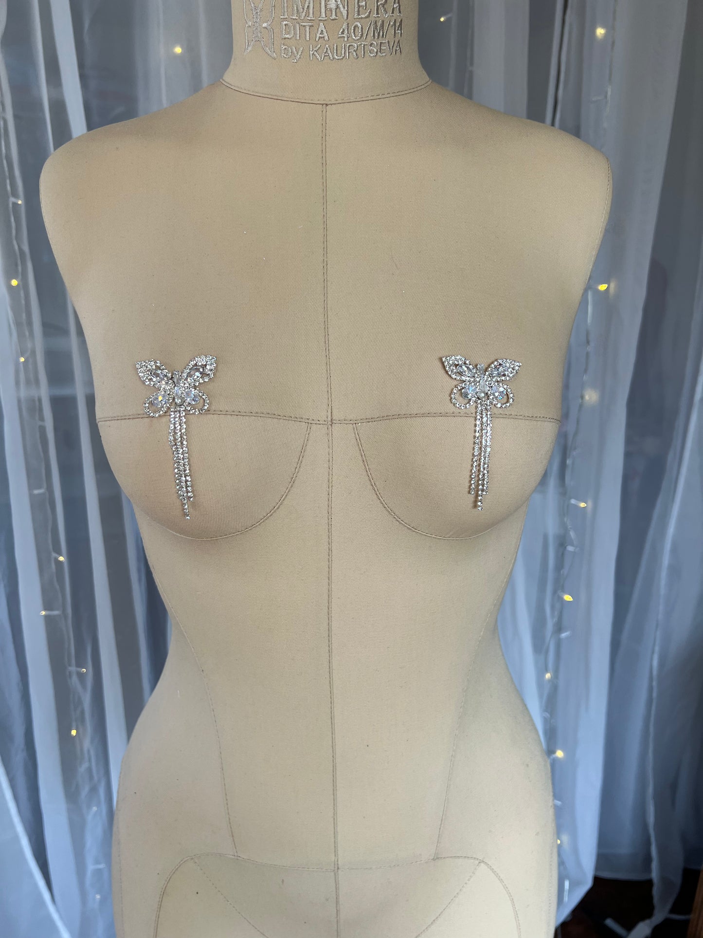 Silver Rhinestone Butterfly Pasties